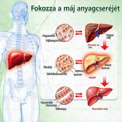 💎𝐆𝐞𝑒𝐿𝑒𝐦𝐨𝐧® Glumasetide 8 az 1-ben Karcsú és Egészséges Nano Mikrotűs Tapasz🩹