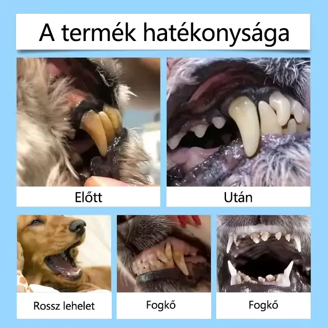 [Hivatalos bolt]CleraNaure® Pet Dental & Digestive Health Oral Liquid – Frissíti a leheletet, eltávolítja a fogkövet, elősegíti az íny regenerálódását, stabilizálja a fogakat (macskák és kutyák számára)  – Ma 80% kedvezmény!☘️