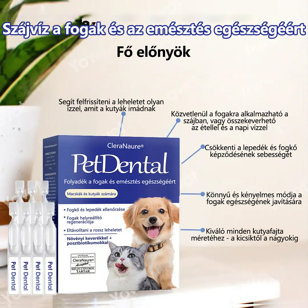 [Hivatalos bolt]CleraNaure® Pet Dental & Digestive Health Oral Liquid – Frissíti a leheletet, eltávolítja a fogkövet, elősegíti az íny regenerálódását, stabilizálja a fogakat (macskák és kutyák számára)  – Ma 80% kedvezmény!☘️